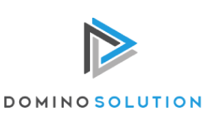 DOMINO Solution